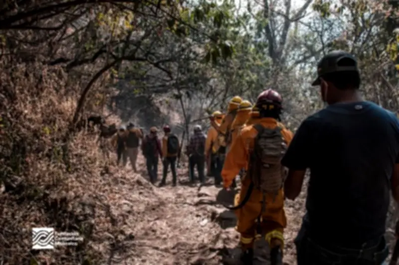 Brigada Voluntaria de Malinalco Combate Incendios Forestales con Esfuerzo Comunitario