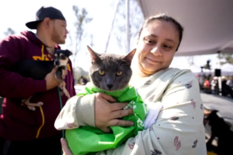 Brugada incrementa compromisos para la atención animal en Ciudad de México