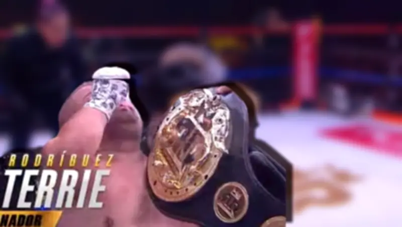 Bull Terrie derrota a Abelito en épica pelea de boxeo amateur del Ring Royale