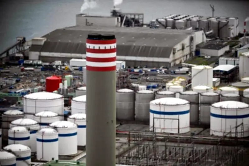 Caen Precios del Crudo por Debajo de 90 Dólares: Impacto en Economía