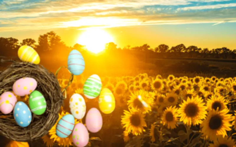 Campo de Girasoles en Jalisco Ofrece Recolección de Huevos de Pascua para Familias