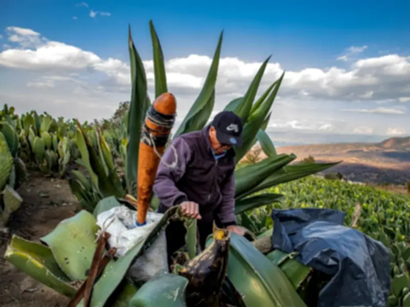 Carnaval de Milpa Alta celebra legado originario con gastronomía y danzas tradicionales