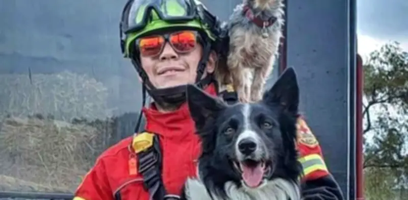 Caso Athos y Tango: Defensa acudirá a instancias internacionales tras fallo de SCJN