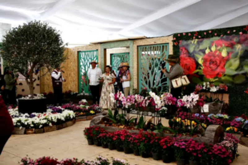 CDMX compra 1 millón de plantas para embellecer la ciudad rumbo al Mundial 2026