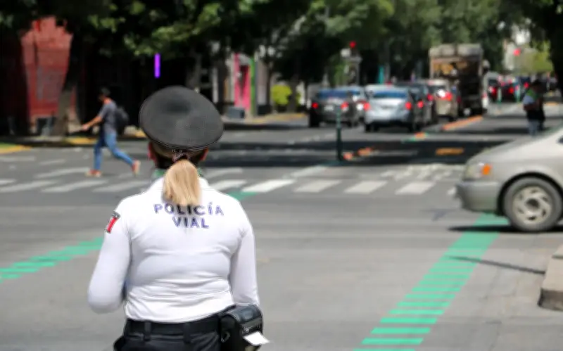 CDMX impondrá multas severas por no portar licencia de conducir en Semana Santa 2026
