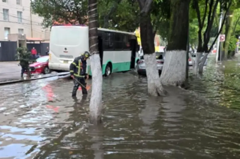 CDMX Registra Inundaciones y Caída de Árboles por Lluvias Intensas