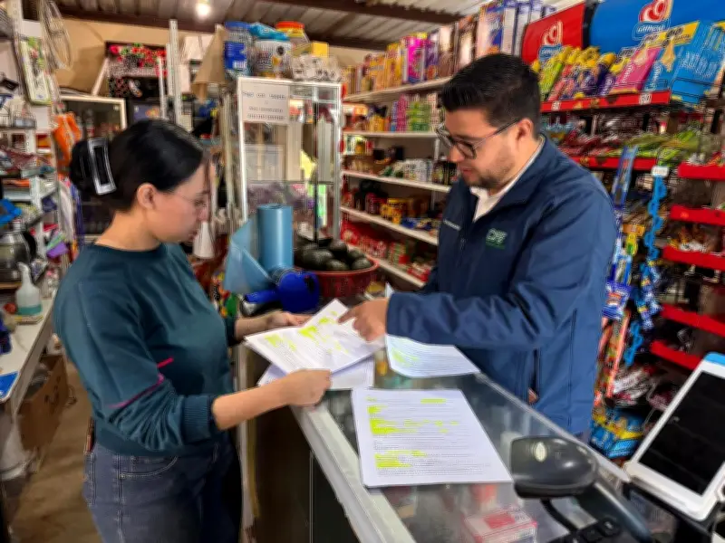 CFE reporta avances del 29% en electrificación de San Quintín, Baja California