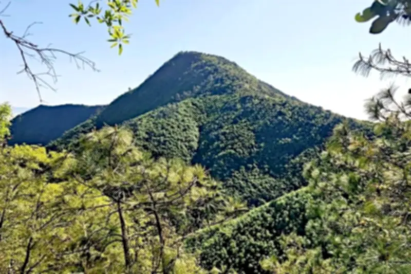 Chipinque implementa actividad sensorial para conectar a visitantes con la naturaleza
