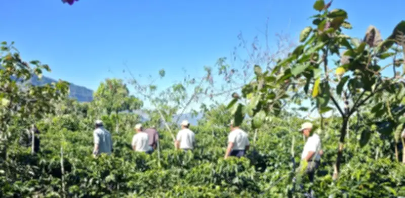 Ciencia y Precisión: El Secreto del Café Mexicano que Transforma Vidas en Chiapas