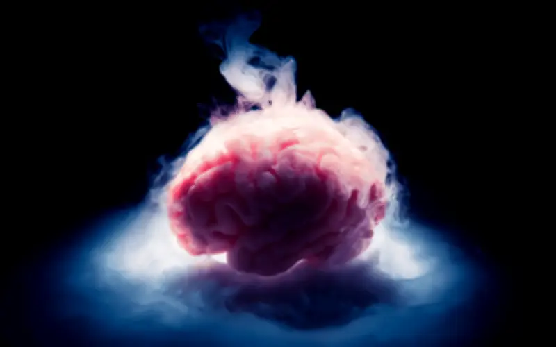 Científicos alemanes logran reactivar neuronas tras criopreservación cerebral en ratones