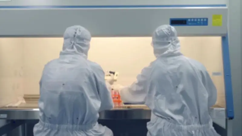 Científicos chinos restauran el páncreas en diabetes tipo 1, reduciendo dependencia de insulina