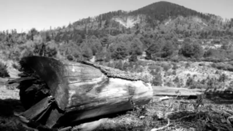 Cine mexicano triunfa en Francia: 'La reserva' gana máximo galardón en Festival Cinelatino de Toulouse