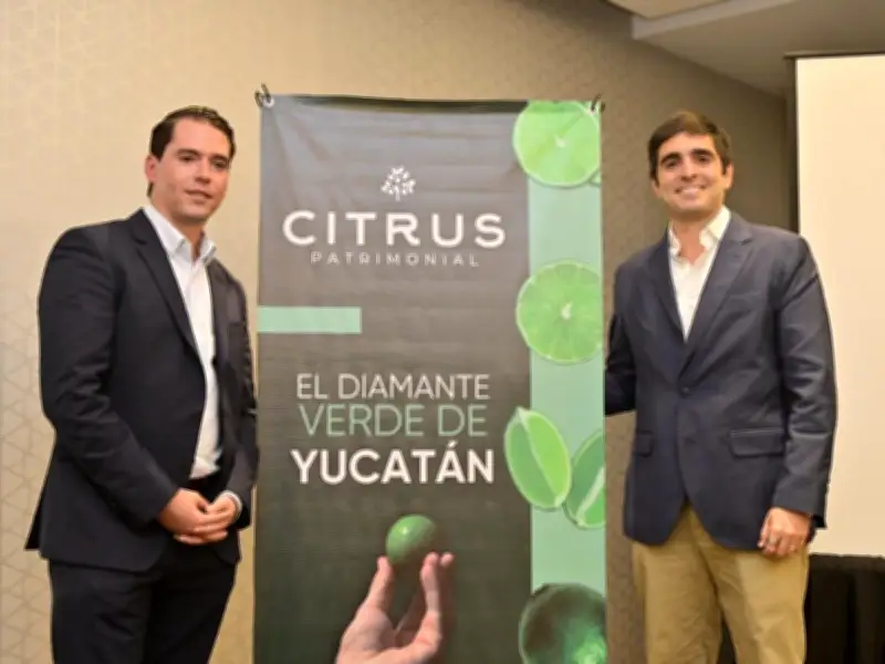 Citrus Patrimonial expande cultivos de limón en Yucatán con inversión democratizada