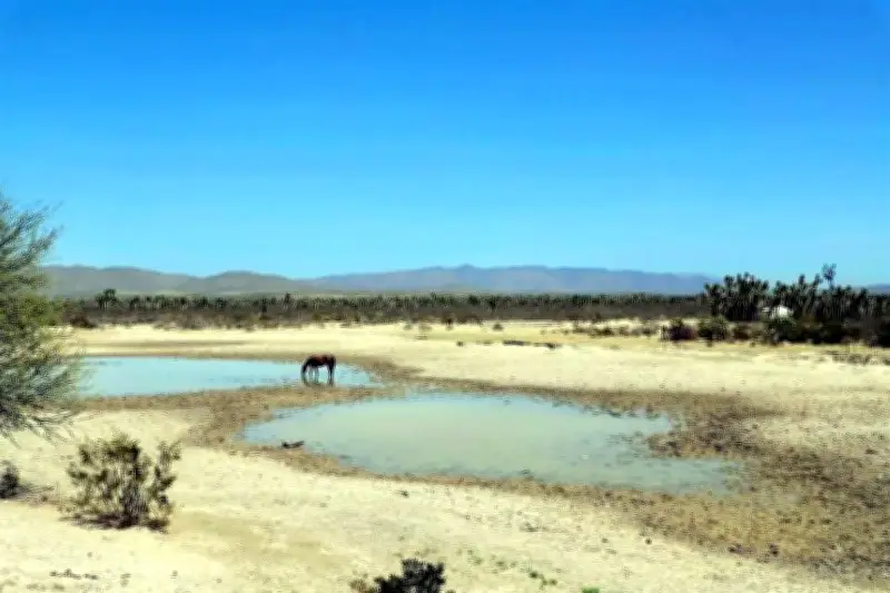 Ciudadanos Viven de Promesas Políticas, Pero el Cumplimiento es Escaso