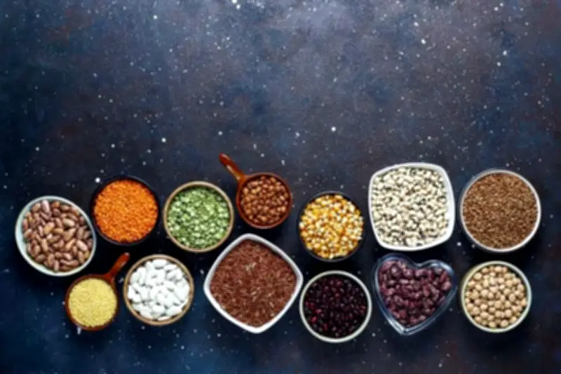 Cocina sin Carne: El Auge de la Gastronomía Vegana en México