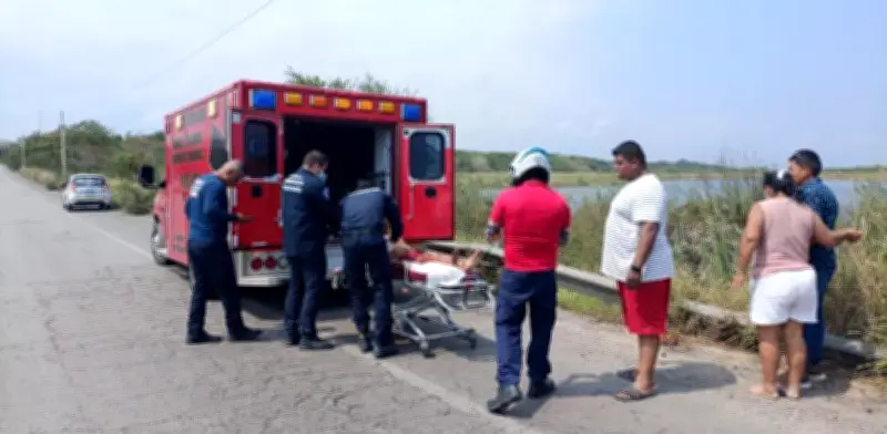 Cocodrilo ataca a adulto mayor en Altamira; sufre desgarro grave en brazo derecho