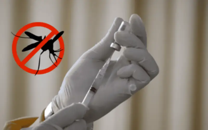 Cofepris aprueba vacuna contra el dengue en México: claves y datos del biológico Qdenga