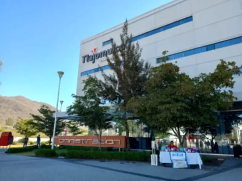 Colapso digital en Tlajomulco paraliza trámites y pagos municipales por falla tecnológica