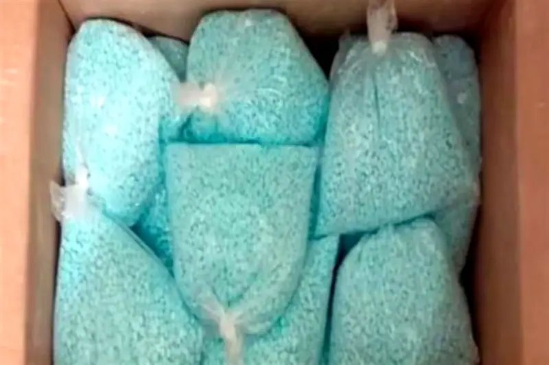 Colima Reconoce Producción de Fentanilo en Laboratorios Clandestinos