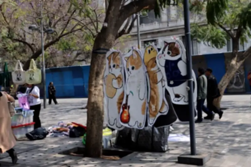 Comercio informal asfixia la vida arbórea en el corazón del Centro Histórico