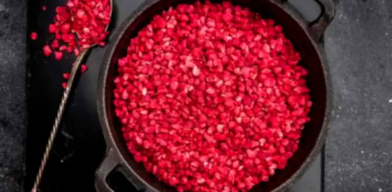 Comida Liofilizada: El Proceso de Conservación que Revoluciona la Alimentación