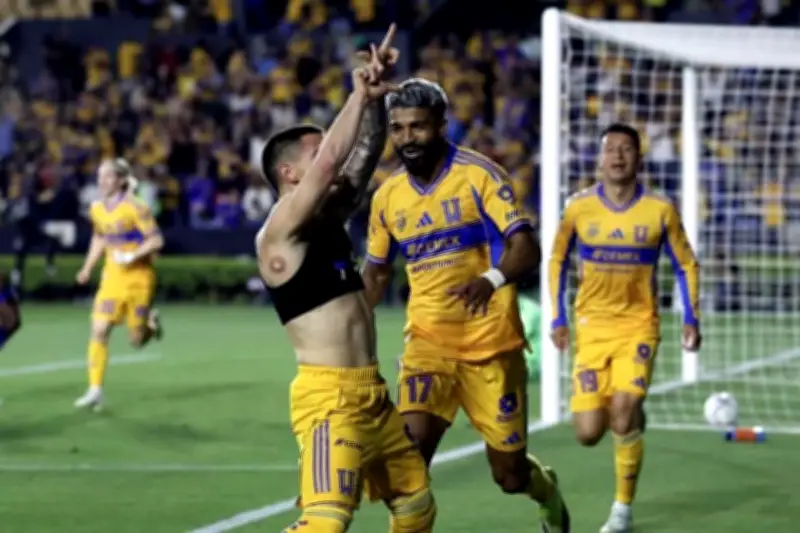 Comunidades Indígenas de Chihuahua Exigen Respeto: 'No Nos Den por Muertos'