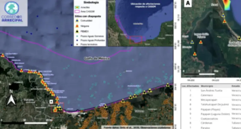 Comunidades indígenas de Veracruz denuncian crisis por derrame de hidrocarburo