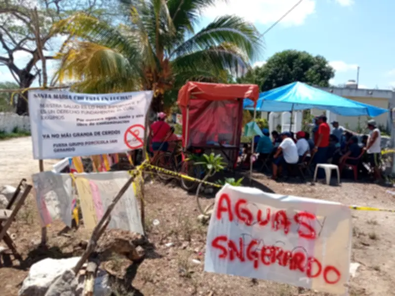 Comunidades Mayas denuncian ante ONU devastación ambiental por megagranjas y minería en Yucatán