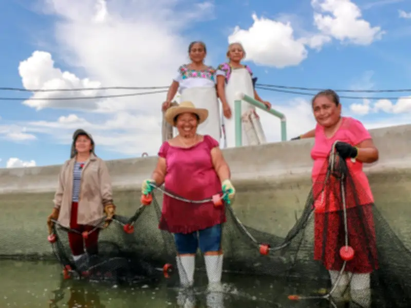 Conapesca lanza convocatoria para el Premio a la Pesca y Acuacultura Sustentables 2026