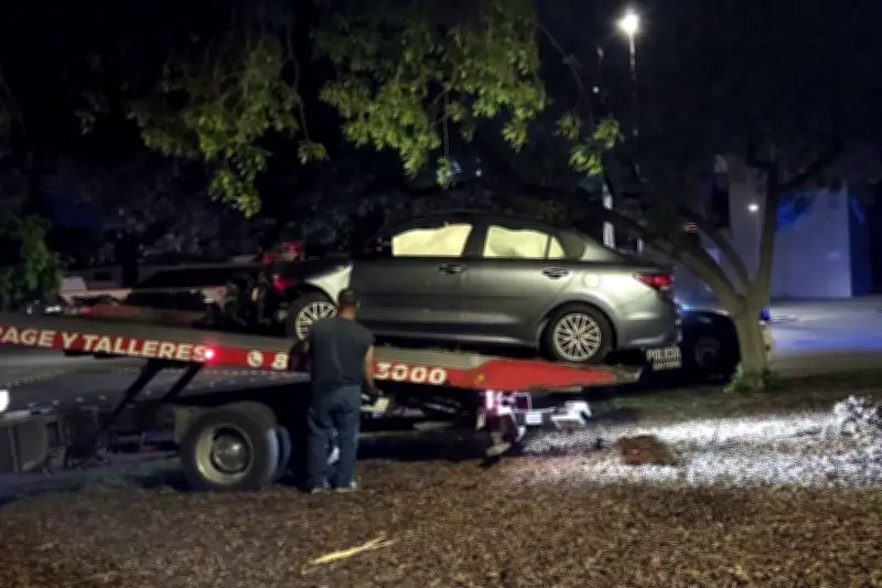 Conductor derriba árbol histórico en accidente vial en Monterrey