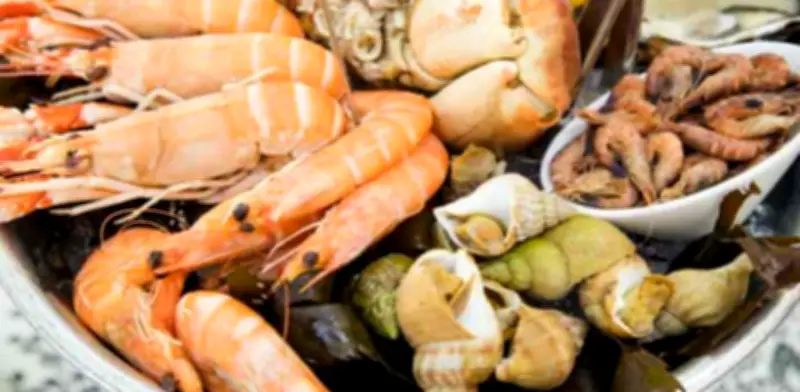 Consejos para comprar mariscos baratos y frescos durante la Cuaresma en México