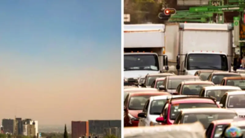 Contingencia ambiental activa: qué autos sí pueden circular mañana en CDMX y Edomex