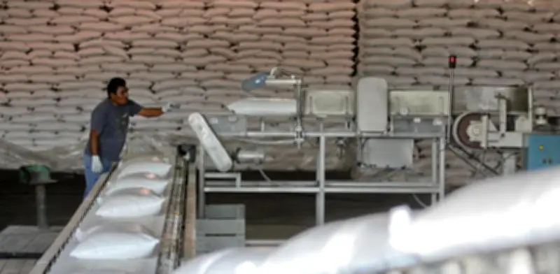 Contrabando de azúcar de Guatemala desploma precios y amenaza la industria mexicana