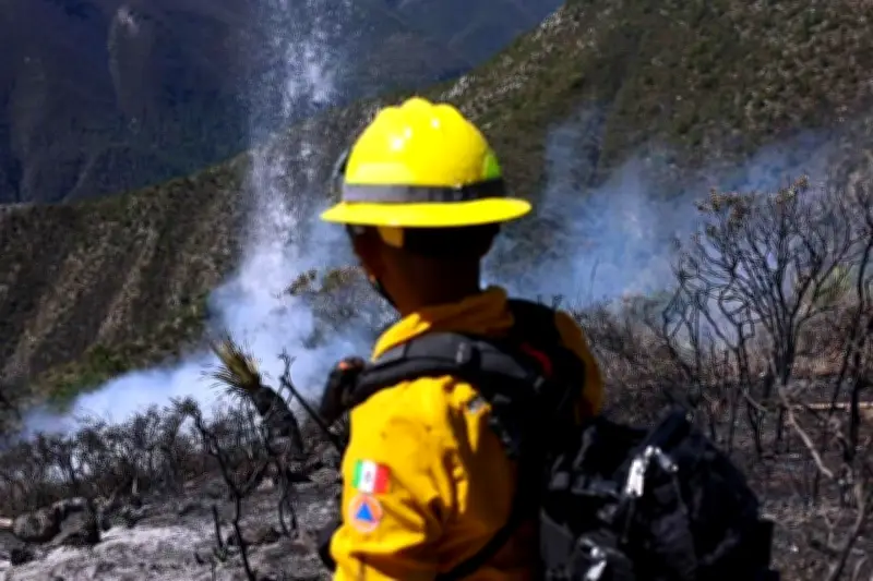 Controlan incendio forestal en Galeana tras intensas jornadas de combate
