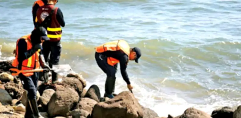 Corredor ecológico en Veracruz, otra víctima del derrame de hidrocarburo en el golfo