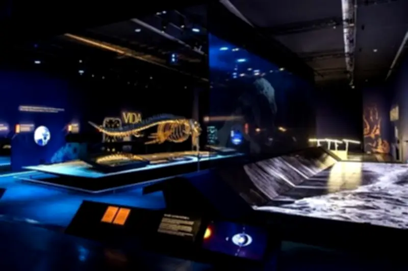 Crean un Océano Artificial en el Museo de Historia Natural de la CDMX