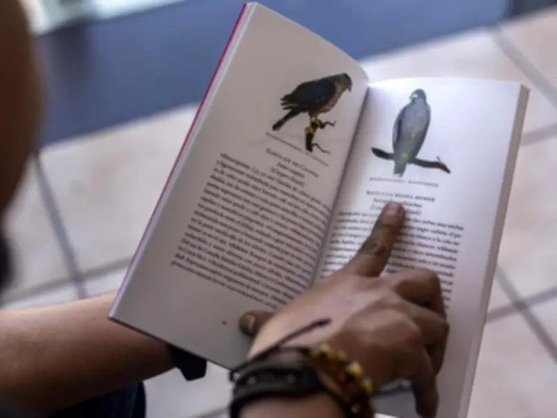 CUAltos presenta inventario de aves con 96 especies documentadas en campus universitario