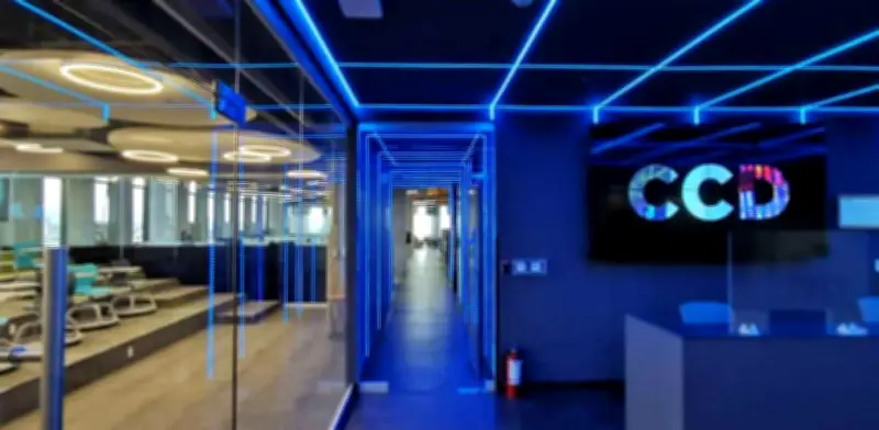 Cultura impulsa reforma a Ley de Autor para proteger a artistas de abusos en la industria