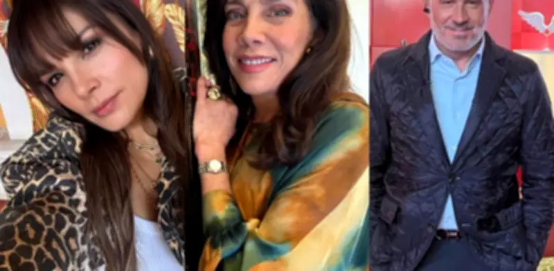 Cynthia Klitbo, Rosanna Nájera y más: famosos víctimas de fraudes en México