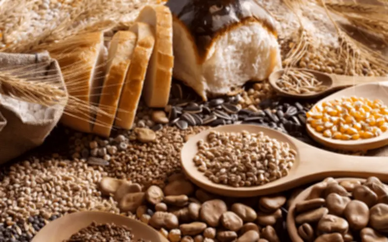 Día Mundial de los Cereales: Celebración y su Papel Vital en la Alimentación Global