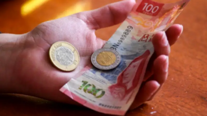 Declaración Anual SAT: Plazos Clave y Cuándo Recibir tu Saldo a Favor