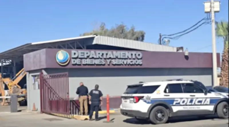 Dejan cabeza de cerdo y amenaza contra funcionario del agua en Mexicali