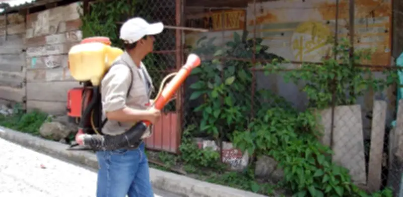 Dengue en México: Casos aumentan a 796 con cinco estados en alerta máxima