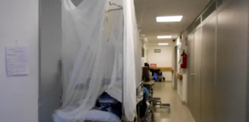 Dengue en México: Dos muertes confirmadas y más de mil 200 contagios acumulados