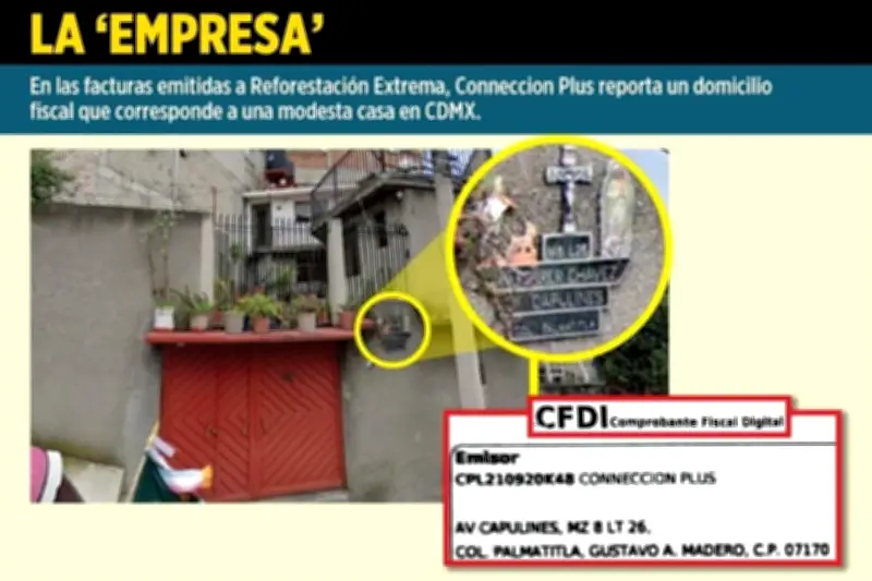 Denuncian desvío de 9 millones en reforestación a empresa fantasma en México