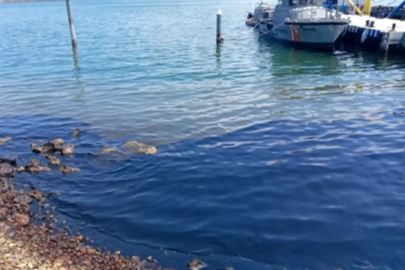Derrame de Contaminantes en Río Bravo Podría Alcanzar Texas, Alertan Autoridades