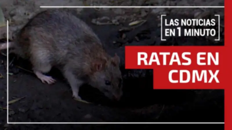 Derrame de crudo y violencia escolar marcan las noticias del 24 de marzo de 2026