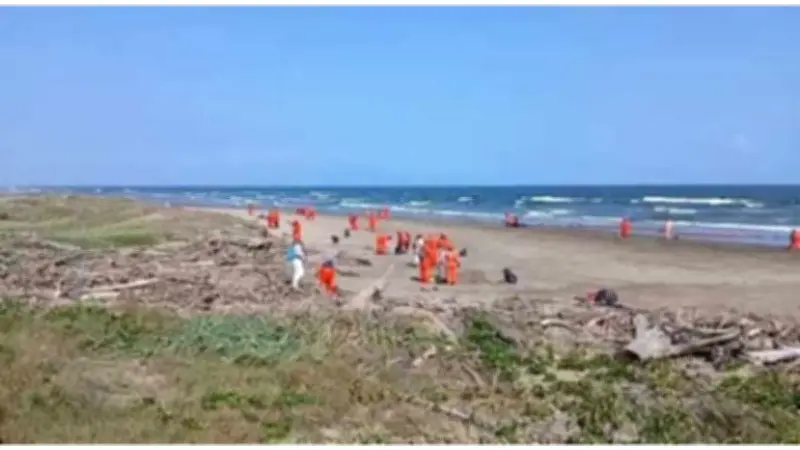 Derrame de hidrocarburo en Veracruz: Continúa limpieza en playas afectadas del Golfo de México