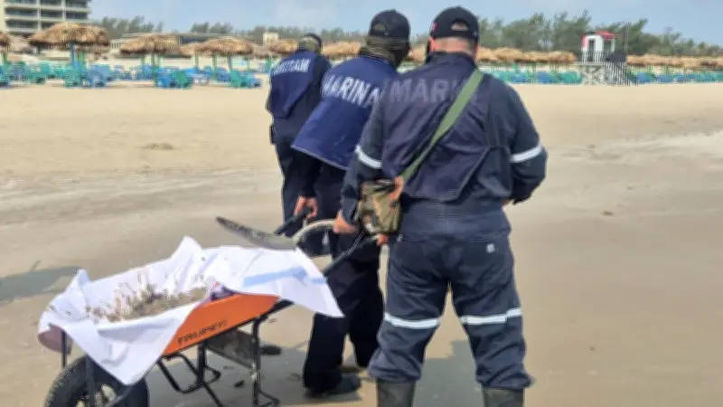 Derrame de petróleo afecta Playa Miramar en Tamaulipas; retiran 200 kilos de chapopote