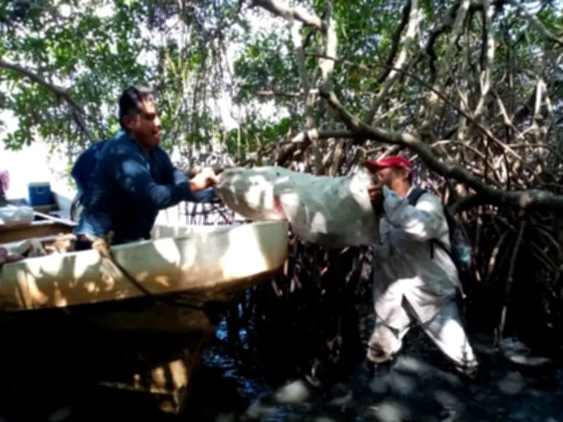 Derrame de petróleo alcanza 630 km en Golfo de México, afectando fauna y comunidades
